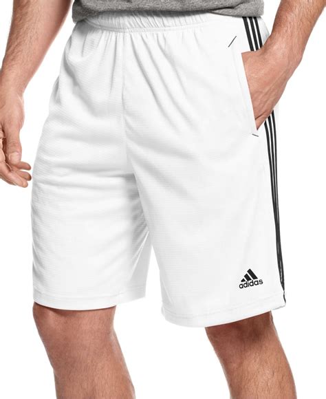 Adidas men's white shorts